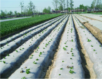 c7娱乐电子游戏官网